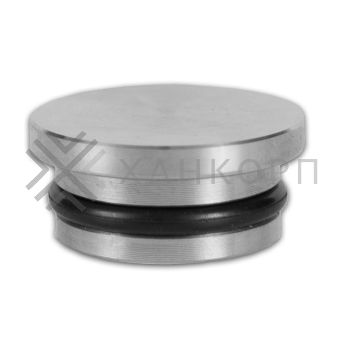 Заглушки FDS-76 для трубы 25 мм, нержавейка/матовый