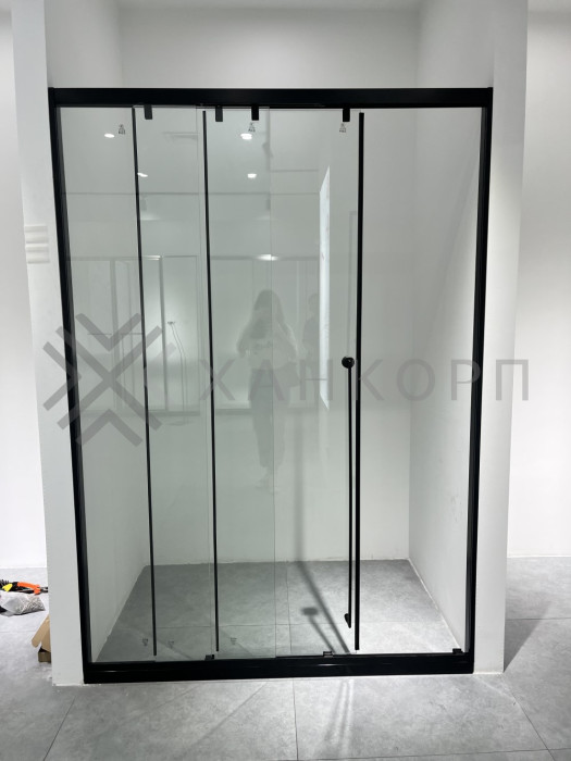 Раздвижная система Нимфа FDS-9.1 в проем телескопическая, нержавейка/черный