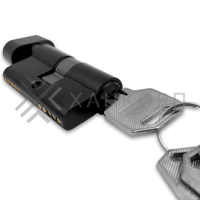 Личинка FMZA-37 для замка стеклянной двери FMZ-33, 36, ключ/вертушка, латунь/черный