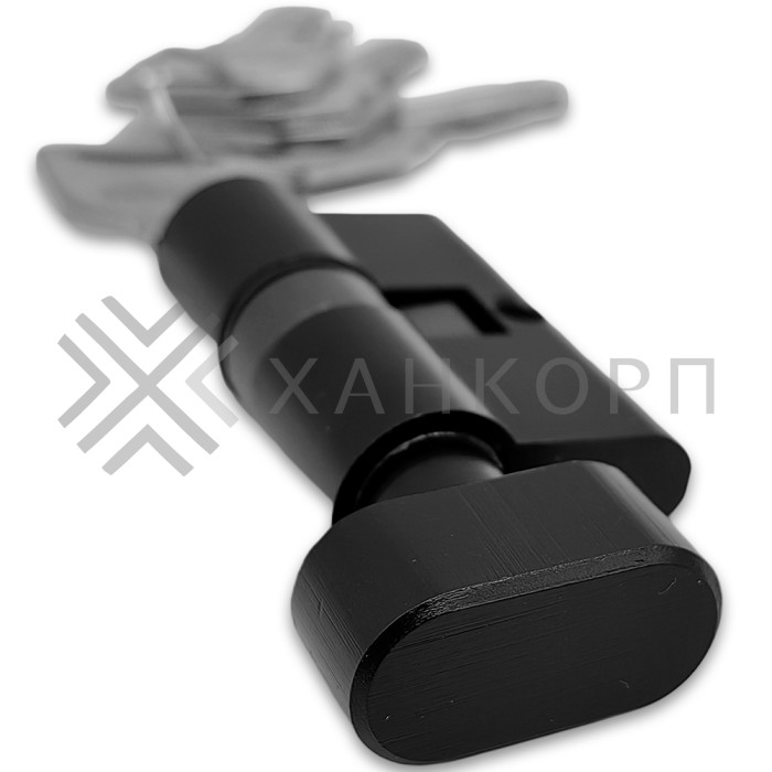 Личинка FMZA-37 для замка стеклянной двери FMZ-33, 36, ключ/вертушка, латунь/черный