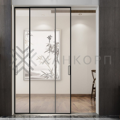 Комплект раздвижной системы DSK-170.3 AL/BL на 2 двери (2+0) в проем, алюминий/черный