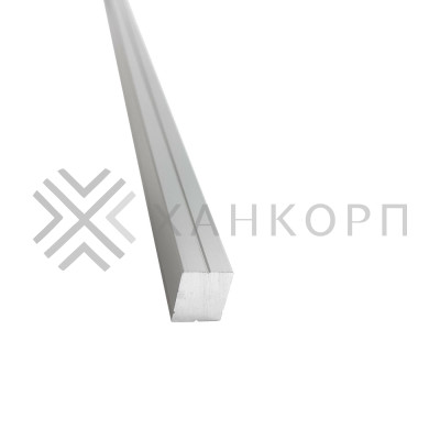Профиль FDPA-58.25 для крепления уплотнителя к стене, 2.5 м, алюминий/анодированный
