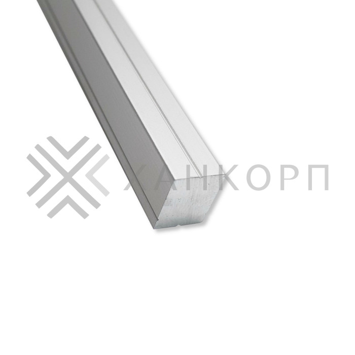 Профиль FDPA-58.25 для крепления уплотнителя к стене, 2.5 м, алюминий/анодированный