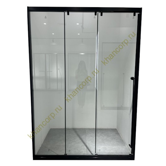 Раздвижная система Нимфа FDS-9 в проем телескопическая, нержавейка/черный