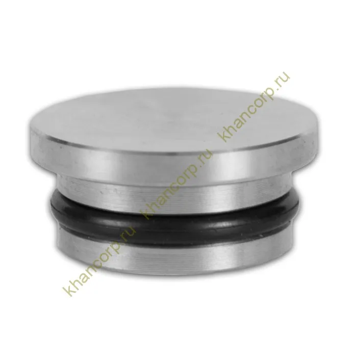 Заглушки FDS-76 для трубы 25 мм, нержавейка/матовый