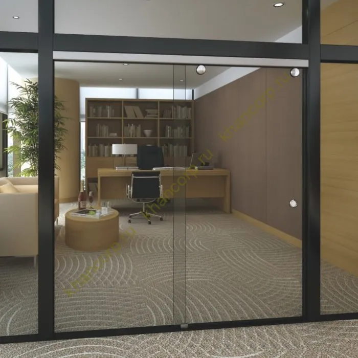 Раздвижная система Ретра FDS-11.2  для стеклянных дверей, нержавейка/матовый